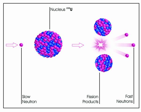 Lead Fission