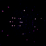 First measurements with the new instrument BioDiff