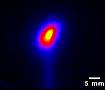 Weltweit höchste Intensität niederenergetischer Positronen an NEPOMUC