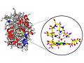 Freeze-frame of an enzyme